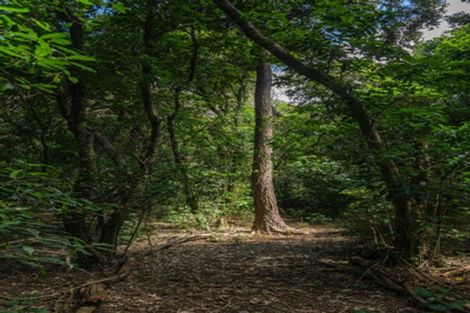 Photo of property in 342 Le Bons Bay Road, Le Bons Bay, Akaroa, 7583