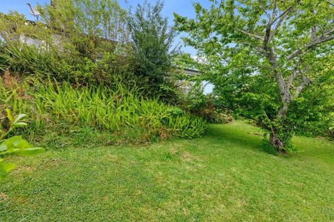 Photo of property in 15 Wylie Street, Gate Pa, Tauranga, 3112