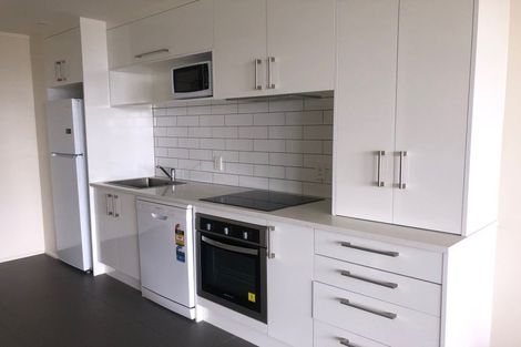 Photo of property in Luna Apartments, 3t/16 Burton Street, Grafton, Auckland, 1010
