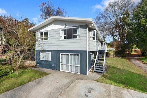 Photo of property in 19 Phoenix Place, Dinsdale, Hamilton, 3204