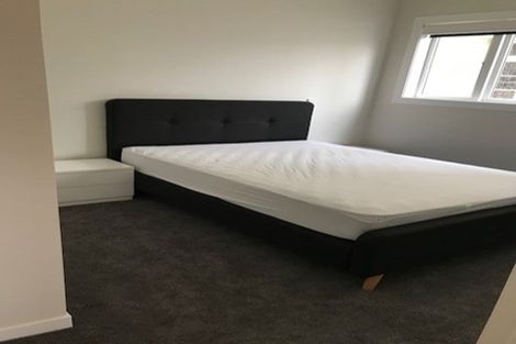 Photo of property in 116 Austin Street, Mount Victoria, Wellington, 6011