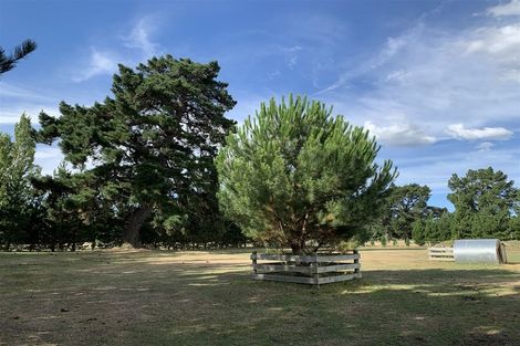 Photo of property in 80 Priors Road, Fernside, Rangiora, 7471
