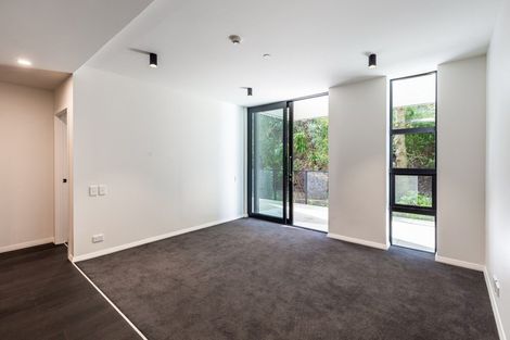 Photo of property in 108/8 Kingsland Terrace, Kingsland, Auckland, 1021