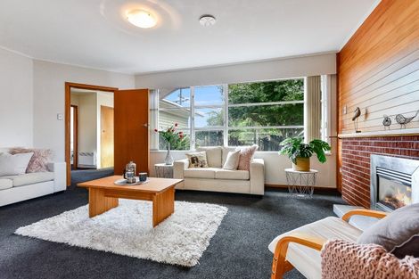 Photo of property in 12 Carlyle Avenue, Chartwell, Hamilton, 3210