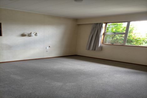 Photo of property in 18 Ventry Street, Alexandra, 9320