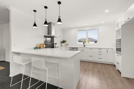 Photo of property in 42 Lochhead Street, Mahora, Hastings, 4120