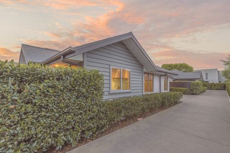 Photo of property in 32b Bishop Street, St Albans, Christchurch, 8014