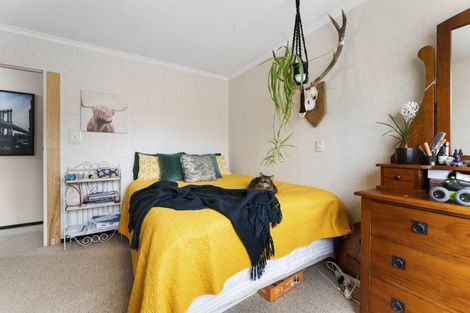 Photo of property in 38a Wood Street, Takaro, Palmerston North, 4410