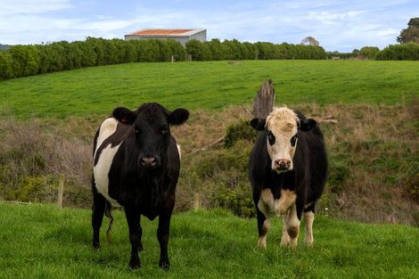Photo of property in 405 Normanby Road, Okaiawa, Hawera, 4671