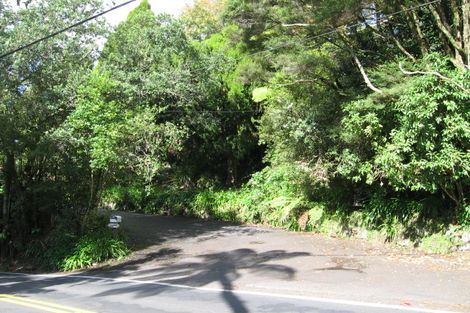 Photo of property in 84 Scenic Drive, Titirangi, Auckland, 0604