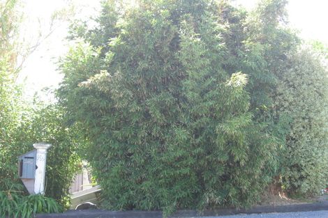 Photo of property in 1/55 Churchill Road, Murrays Bay, Auckland, 0630