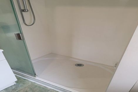 Photo of property in 4a Palm Grove, Berhampore, Wellington, 6023