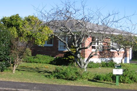 Photo of property in 20 Halberg Street, Papakura, 2110