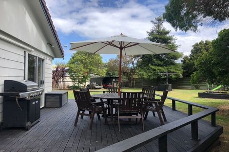 Photo of property in 94 Lincoln Street, Ashhurst, 4810