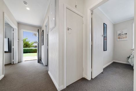 Photo of property in 19 Salisbury Avenue, Terrace End, Palmerston North, 4410