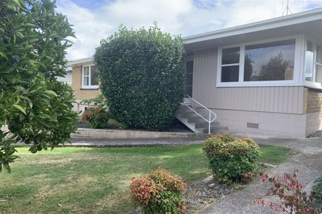 Photo of property in 9a Lynwood Place, Brookfield, Tauranga, 3110