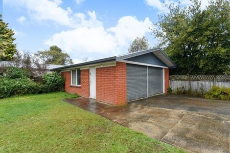 Photo of property in 141 Fitzroy Avenue, Fitzroy, Hamilton, 3206