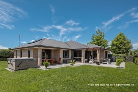 Photo of property in 29 Tremorne Avenue, Blenheim, 7201