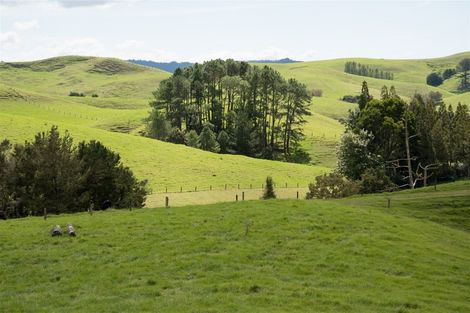 Photo of property in 67 Fraser Road, Kawakawa, 0210