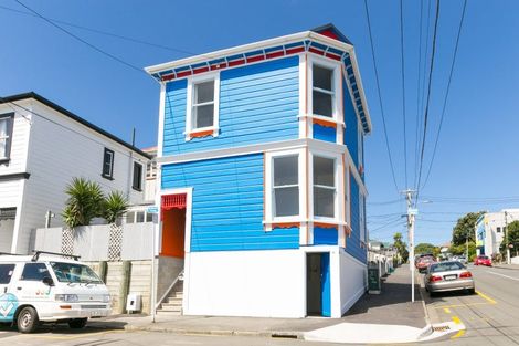 Photo of property in 87 Tasman Street, Mount Cook, Wellington, 6021