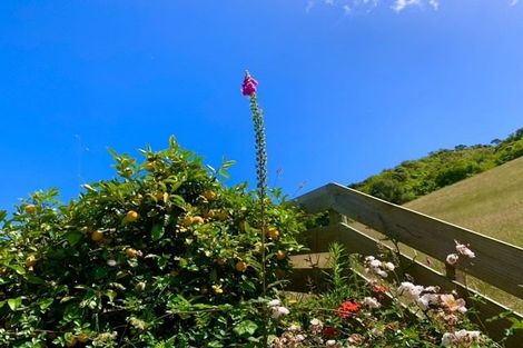 Photo of property in 15 Biggsburn Way, Todds Valley, Nelson, 7071