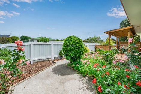 Photo of property in 2b Tawa Street, Waikanae, 5036