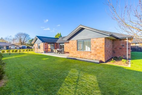 Photo of property in 3 Birchwood Lane, Matamata, 3400