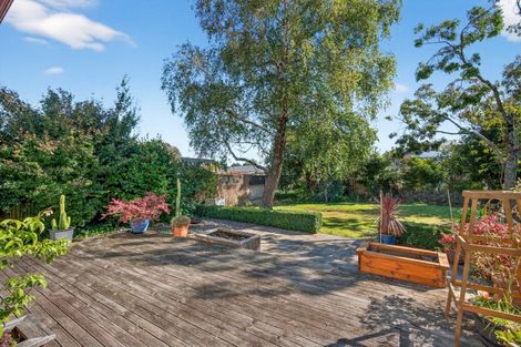 Photo of property in 8 College Street, Masterton, 5810