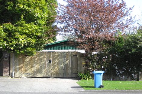 Photo of property in 32 Macarthur Street, Levin, 5510