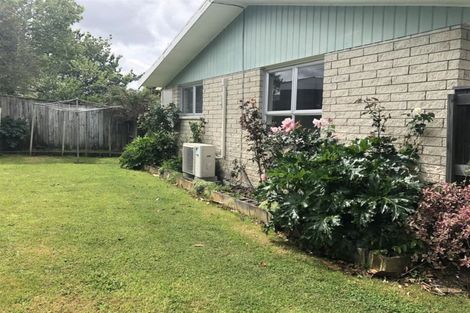 Photo of property in 25a Millers Road, Brookfield, Tauranga, 3110