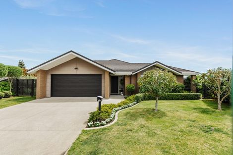 Photo of property in 40 Mervyn Place, Ohauiti, Tauranga, 3112