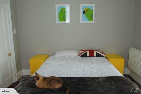 Photo of property in 62 Honiana Te Puni Street, Aro Valley, Wellington, 6021