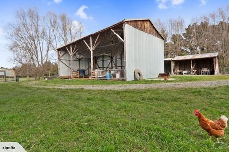 Photo of property in 146 Mount Grey Road, Loburn, Rangiora, 7472