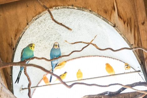 Photo of property in Bishop Selwyn Lifecare, 3/350 Selwyn Street, Addington, Christchurch, 8024