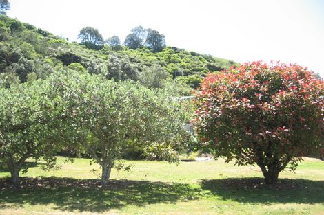 Photo of property in 3 Lyndhurst Avenue, Maketu, Te Puke, 3189