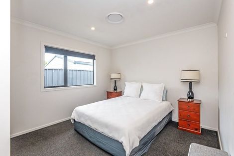 Photo of property in 153 Stanford Street North, Ashhurst, 4810