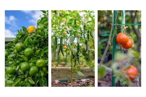 Photo of property in 45 Stephens Place, Hairini, Tauranga, 3112