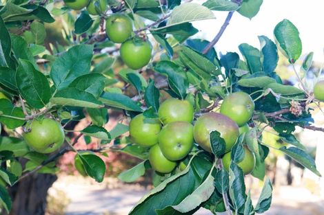 Photo of property in 144 The Crescent, Langs Beach, Waipu, 0582