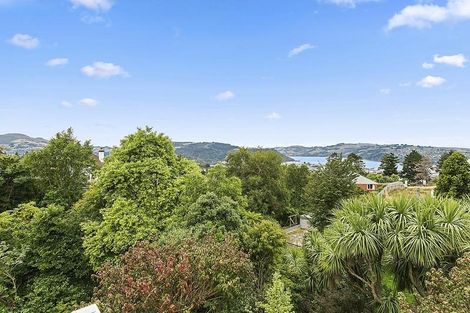 Photo of property in 33 Erin Street, Roslyn, Dunedin, 9010