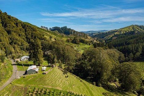 Photo of property in 619 Kirikau Valley Road, Kirikau, Taumarunui, 3993