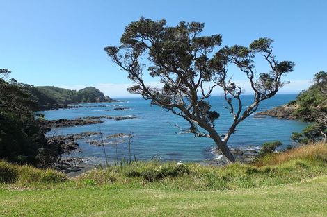 Photo of property in 29 Piwaiwaka Way, Tutukaka, Whangarei, 0173