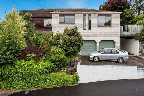 Photo of property in 36 Littlebourne Road, Roslyn, Dunedin, 9010