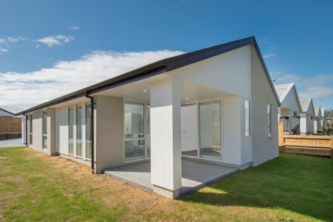 Photo of property in 8 Hauhake Lane, Omokoroa, 3114