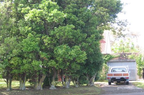 Photo of property in 23 Norcross Avenue, Henderson, Auckland, 0612