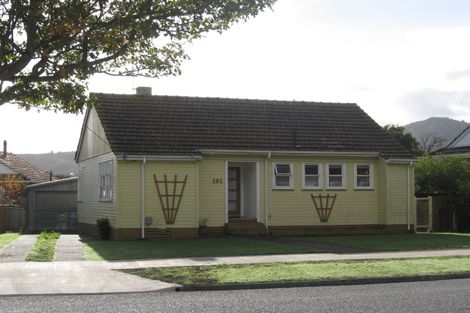 Photo of property in 101 Waddington Drive, Naenae, Lower Hutt, 5011