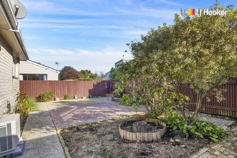 Photo of property in 42b Normanby Street, Saint Kilda, Dunedin, 9012