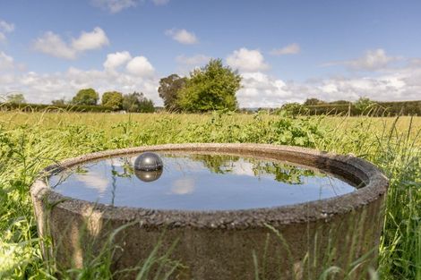 Photo of property in 398 Hallett Road, Otakiri, Whakatane, 3192