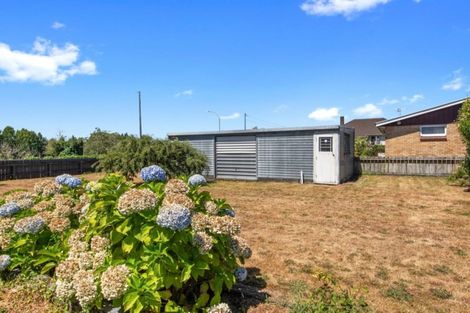 Photo of property in 38 Waikato Esplanade, Ngaruawahia, 3720