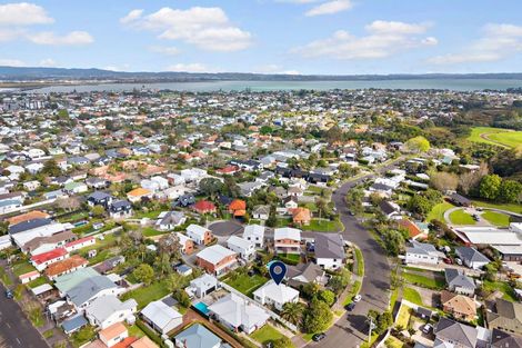 Photo of property in 48 Premier Avenue, Point Chevalier, Auckland, 1022