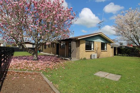 Photo of property in 8 Titoki Street, Matamata, 3400